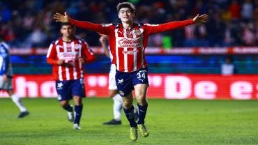 Hormiga a la selección 