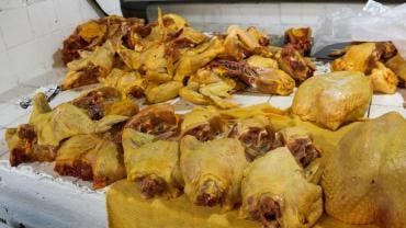 renueva gobierno IP Pacic.jpg