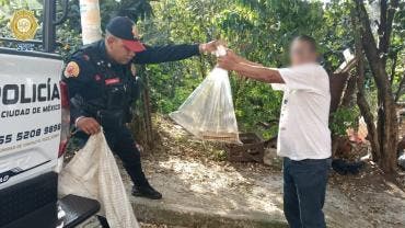 rescatan vibora Alvaro Obregon.jpg