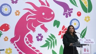 Brugada 480 mdp Puente Concordia.jpg