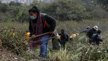 La alcaldía Álvaro Obregón precisó que el rastreo de personas en la barranca de Tarango se llevará a cabo del 16 al 19 de diciembre