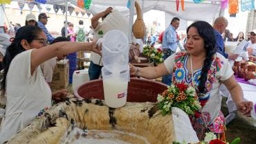 declara Congreso CDMX Dia local Pulque.jpg