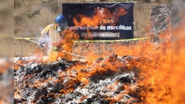 destruye FGJCDMX 335 kilos drogas.jpg