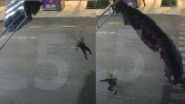 Gringo cae del cielo 