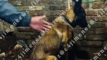 hallan cuerpo agente SSC Alvaro Obregon.jpg