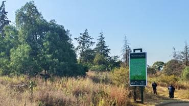 La FGJ investiga la muerte de un hombre no identificado hallado en el Cerro de la Estrella.