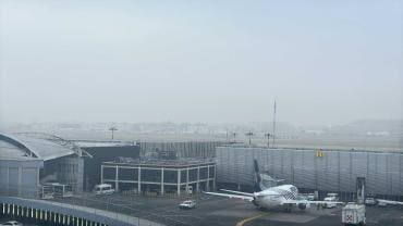 niebla detiene aterrizajes AICM.jpg