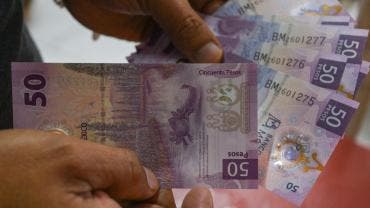 actualizan UMA 2026.jpg