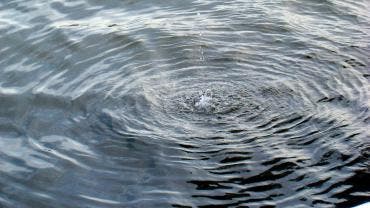 Aunque 2025 fue uno de los años más lluviosos de la historia, con un almacenamiento récord de 97.40% registrado el 31 de octubre, en lo que va de 2026 no se ha registrado ninguna precipitación significativa.