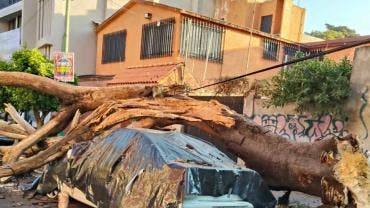 Primeros daños por sismo 6.5 