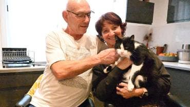 Filou el gato extraviado que recorrió 250km foto de leparisien