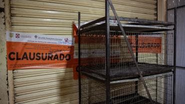 el secretario César Cravioto aseguró que el Gobierno capitalino mantendrá vigilancia constante para evitar el regreso de la venta de animales