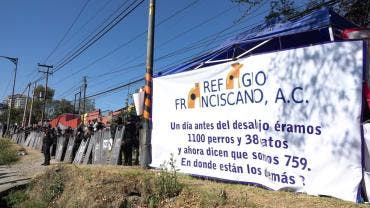 . Reiteró que la actuación de las autoridades se dio en cumplimiento de una orden judicial derivada de las condiciones en las que se encontraban los animales.