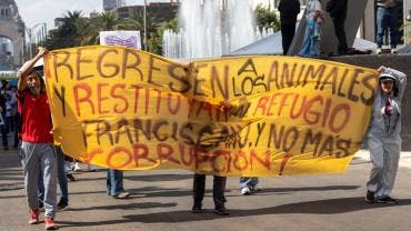 El alcalde agregó que la jefa de Gobierno de la Ciudad de México, Clara Brugada, también ha manifestado su postura en el mismo sentido.