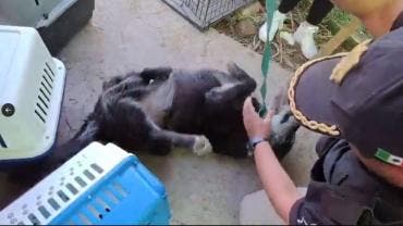 Rescate Refugio Franciscano