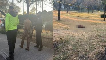 Según trascendió, el sujeto desolló a uno de los animales con el objetivo de despedazarlo e ingerirlo. Además, habría estado bajo el efecto de algún estupefaciente.