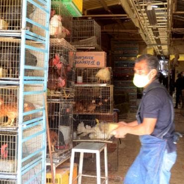 Mercado Sonora