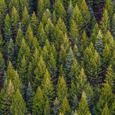En el evento participaron autoridades locales, representantes agrarios y productores de la comunidad de San Miguel Ajusco