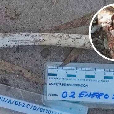 La Fiscalía capitalina informó que, de un conteo preliminar, al menos 798 animales presentaban afectaciones compatibles con maltrato, mientras que 21 animales murieron fuera del inmueble