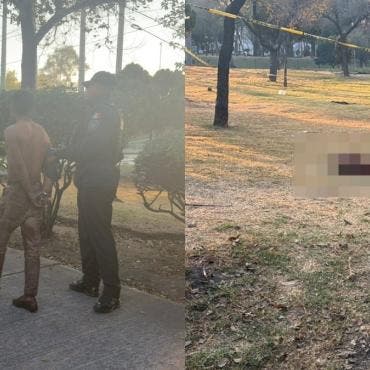 Según trascendió, el sujeto desolló a uno de los animales con el objetivo de despedazarlo e ingerirlo. Además, habría estado bajo el efecto de algún estupefaciente.