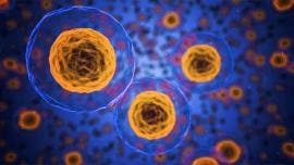 En hormonas masculinas, posible clave contra el cáncer de mama