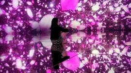 TeamLab