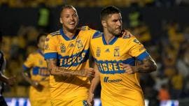 Tigres