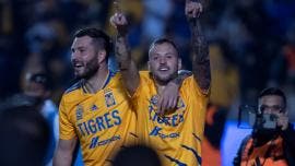 tigres