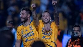 tigres