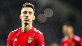 Grimaldo