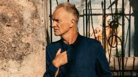 sting