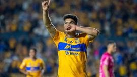 Tigres