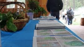 Macuiltianguis