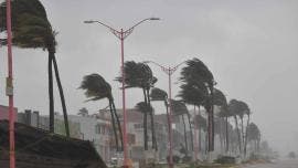 quinta tormenta invernal Mexico