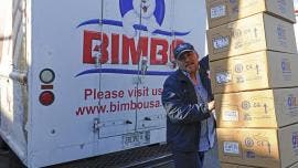 bimbo