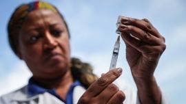 Vacunas contra el dengue en Brasil