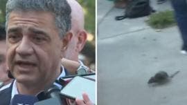 Una rata se convirtió en protagonista en una comparecencia del alcalde de Buenos Aires