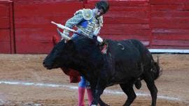 Plaza Toros Batres consulta IECM