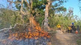 incendios Acapulco casas