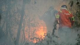 incendios CDMX olor quemado