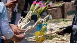 palma Oaxaca viacrucis sequia