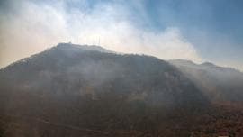 Reportan 73 incendios forestales activos en el país, por sequía   