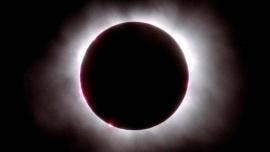 eclipse solar Conahcyt Alvarez-Buylla