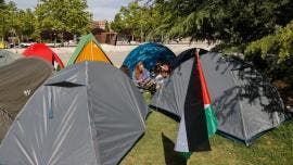 Madrid palestina