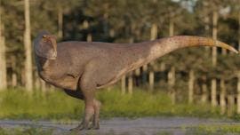 Chubut Argentina dinosaurio