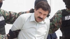 PAN exhorta a la FGR a decomisar y repartir los 13 mmd de ‘El Chapo’ 