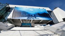 Festival de Cannes