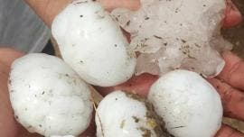 granizo Anahuac beisbol