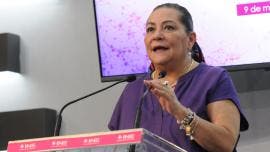 Guadalupe Taddei INE casillas