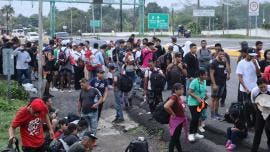 Migrantes